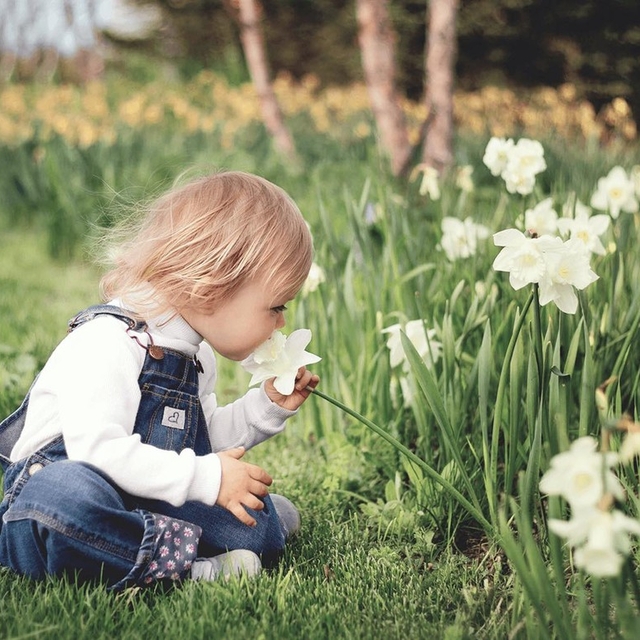 Es ist soweit: endlich Frühling! ?????? Zumindest  ...