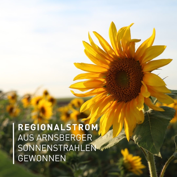 Genieße die wärmenden Sonnenstrahlen auf deinem Ge ...