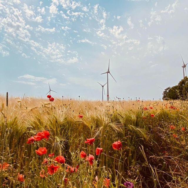 Heute ist Tag der Erneuerbaren Energien! ?☀️?
Wir ...