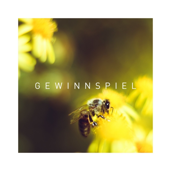 Bienen, Hummeln, Käfer ... heute ist der internati ...