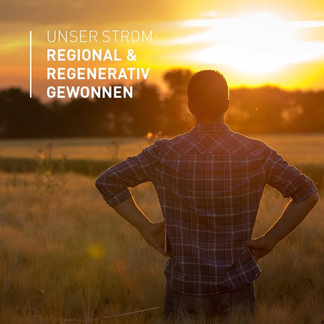 Die letzten Sonnenstrahlen des Spätsommers genieße ...