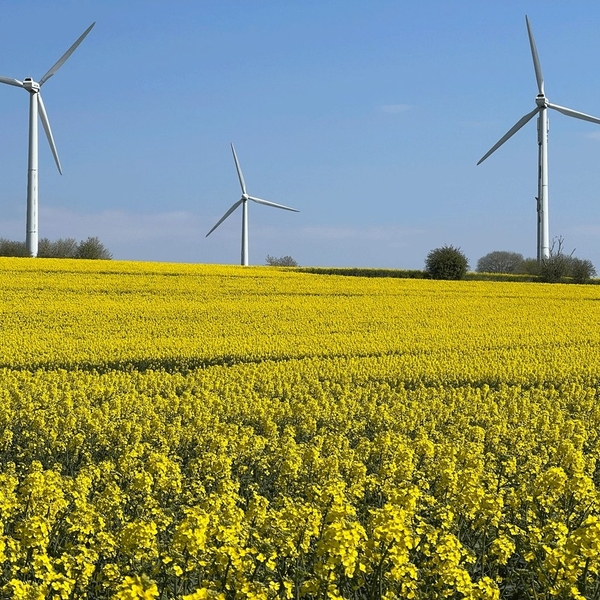 Na, genießt ihr die Sonne heute auch so wie wir? ☀ ...