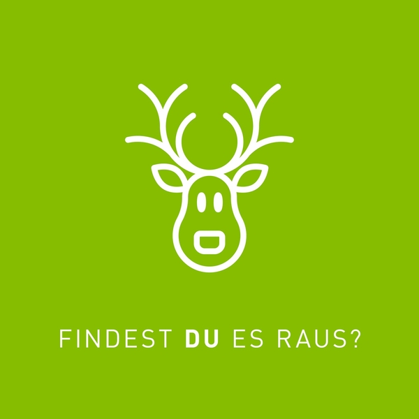 Heute wird es richtig WILD in unserem Adventskalen ...