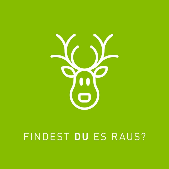 Heute wird es richtig WILD in unserem Adventskalen ...