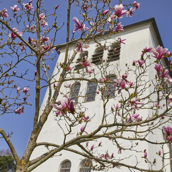 Wir wünschen euch einen sonnigen Start in die Woch ...