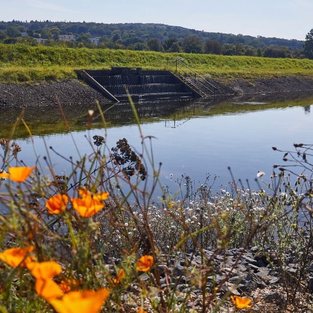 Hier beginnt der Weg unseres Trinkwassers. Regiona ...