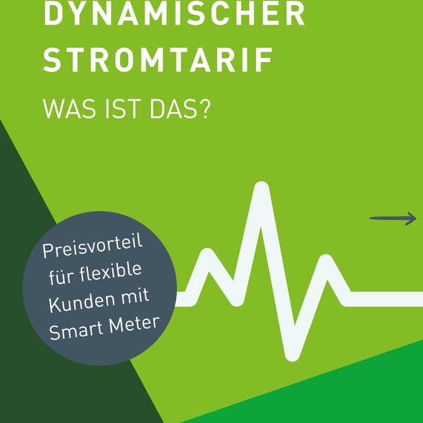 Dynamischer Stromtarif – passt zu dir, wenn du fle ...