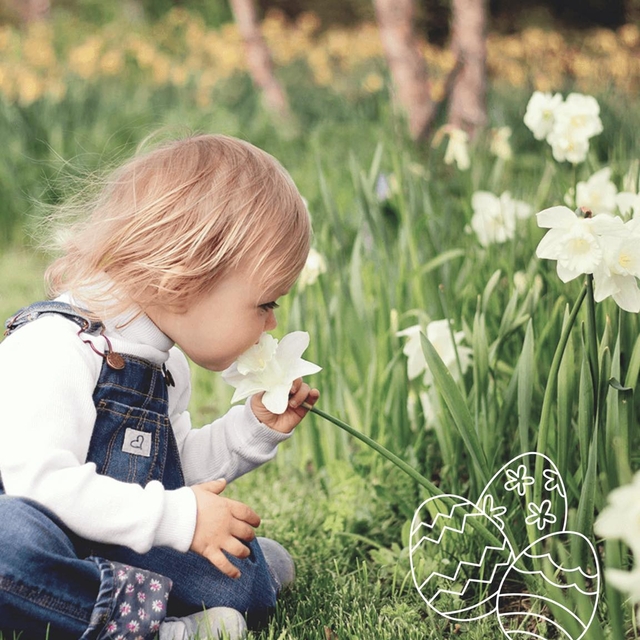 Frohe Ostern! ??
Genießt die Feiertage und die Ze ...
