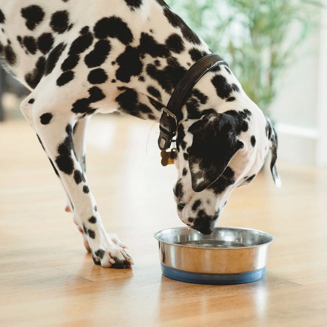 Gerade im Sommer soll man viel trinken, das hat Om ...