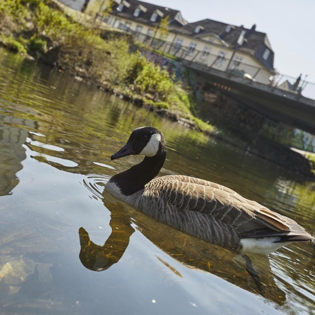 Heute ist Earth Day! ??
Das Motto für 2024 lautet ...