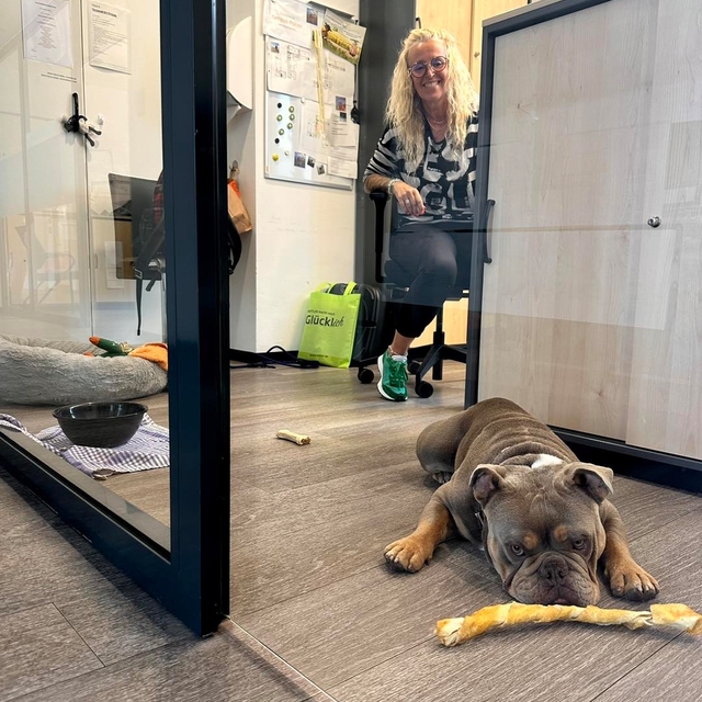 Heute ist der Nimm-deinen-Hund-mit-zur-Arbeit-Tag  ...