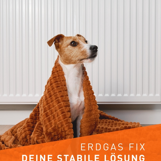 Erdgas zum festen Preis ?
Viele Haushalte bekomme ...