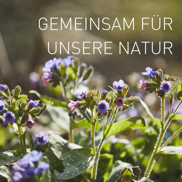 Heute ist der Tag des Artenschutzes! ??
Lasst un ...