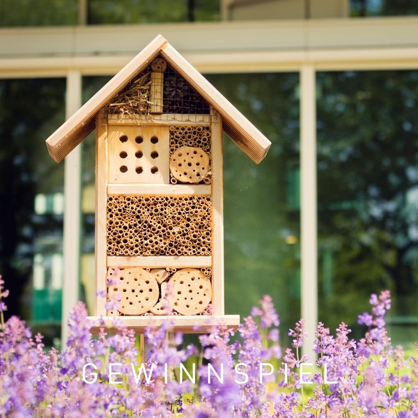 ?? Internationaler Tag zur Erhaltung der Artenviel ...