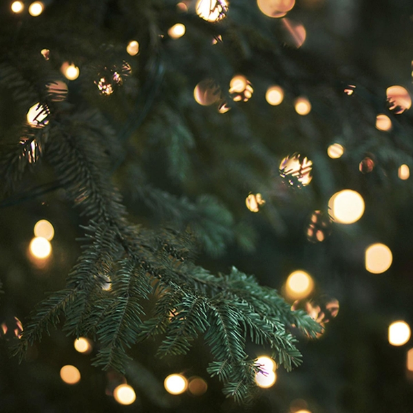 Wir sparen, genauso wie ihr.? Auch wir von den Sta ...