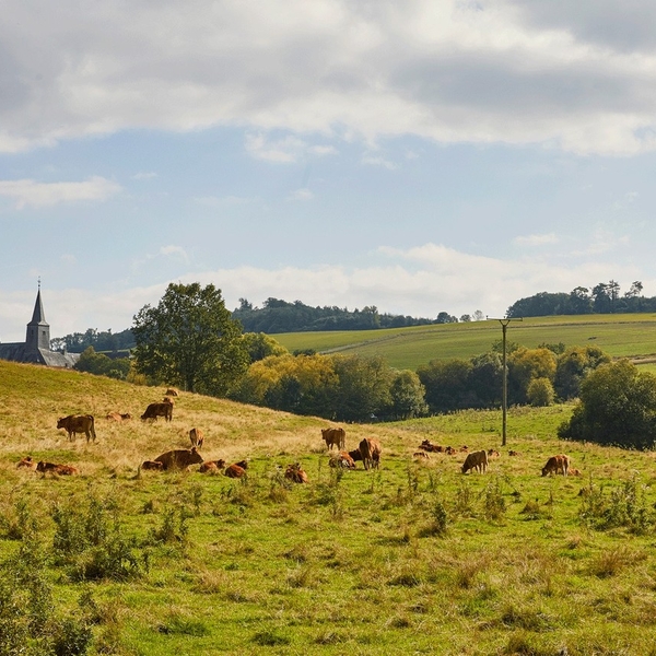 Der heutige Tag richtet sich an alle Freunde der N ...