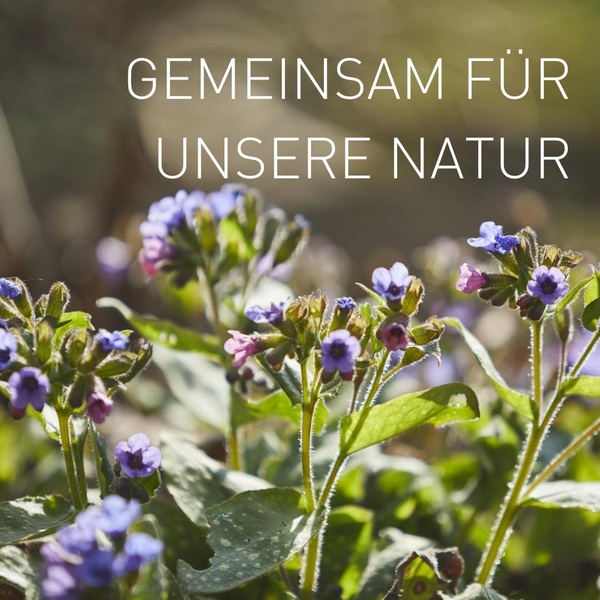 Heute ist der Tag des Artenschutzes! ??
Lasst un ...